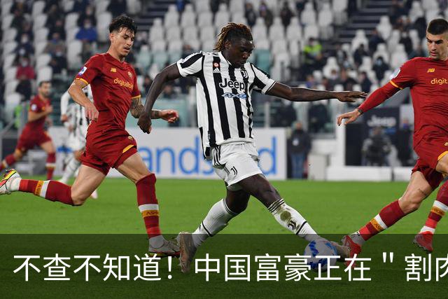 不查不知道！中国富豪正在＂割肉＂补税，卢麒元的话终于有人信了